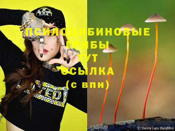 трава Кукмор
