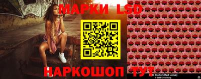 mdpv Гатчина