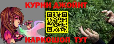 mdpv Гатчина