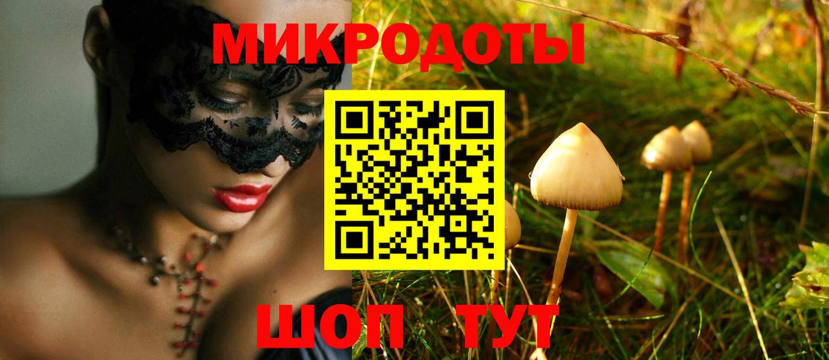 Галлюциногенные грибы Psilocybine cubensis Череповец