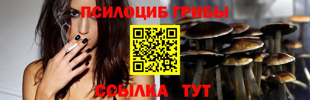Галлюциногенные грибы Magic Shrooms  закладка  Череповец  Вход с VPN 
